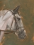 Picture of ANTIQUE HORSE STUDY I