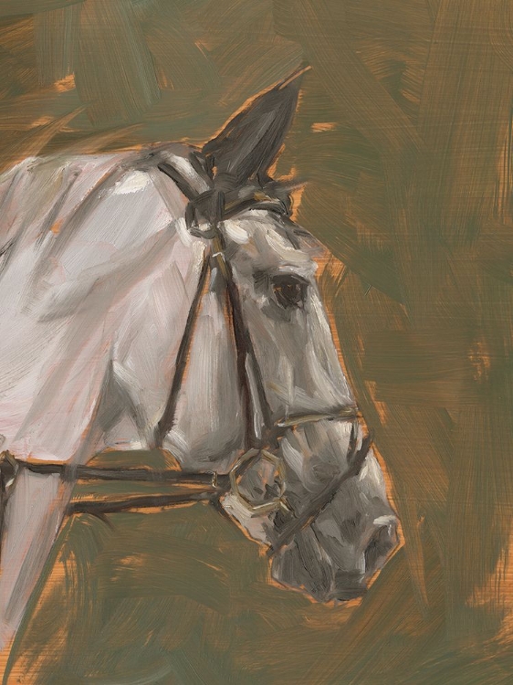 Picture of ANTIQUE HORSE STUDY I