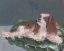 Picture of ROYAL DOG I