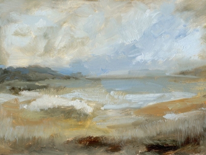 Picture of SMUDGED COASTLINE I