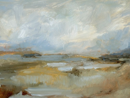 Picture of SMUDGED COASTLINE II