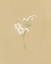 Picture of DONT FORGET ME I
