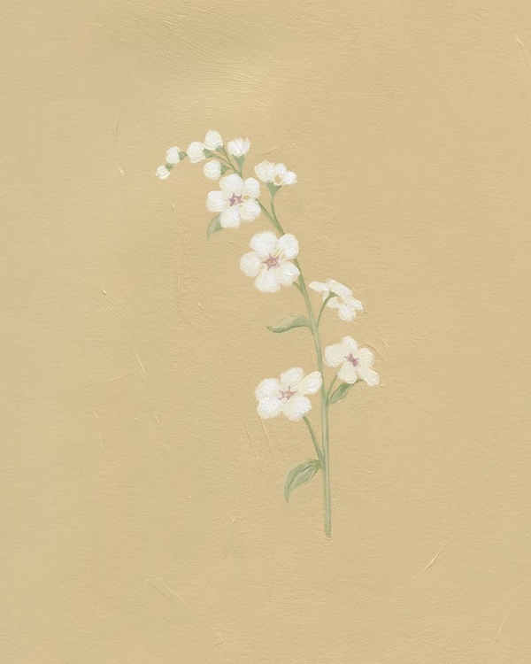 Picture of DONT FORGET ME II