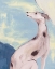 Picture of BLUE GREYHOUND II