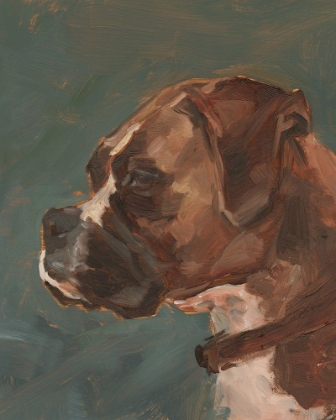 Picture of ANTIQUE DOG STUDY II