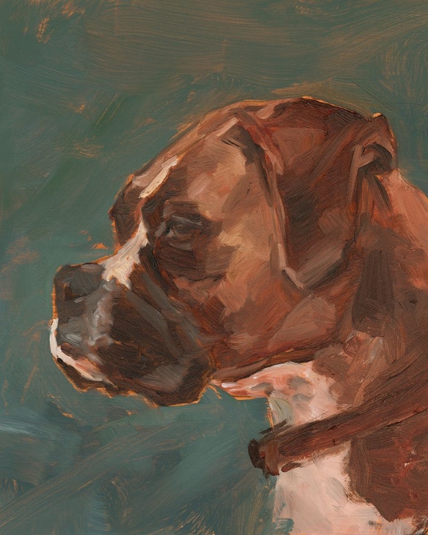 Picture of ANTIQUE DOG STUDY II