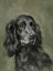 Picture of SWEET SETTER PORTRAIT I