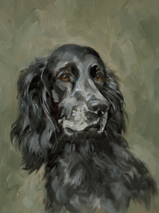 Picture of SWEET SETTER PORTRAIT I