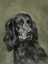 Picture of SWEET SETTER PORTRAIT I
