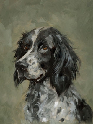 Picture of SWEET SETTER PORTRAIT II