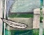 Picture of CONSTRUCTING NATURE I