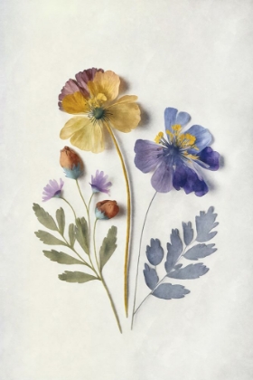 Picture of PRESSED FLOWER MEMORIES III
