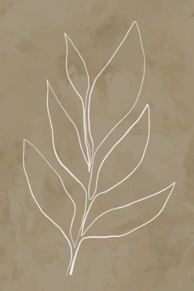 Picture of LEAF LINE ART II