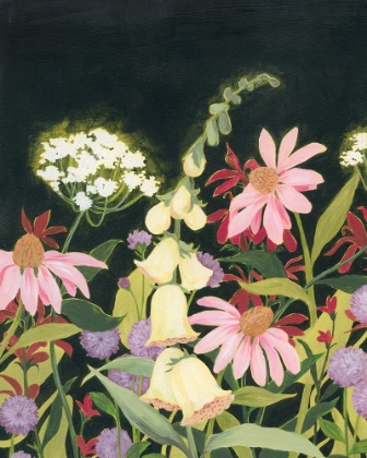 Picture of MOONLIT WILDFLOWERS I