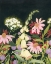 Picture of MOONLIT WILDFLOWERS I