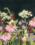Picture of MOONLIT WILDFLOWERS II