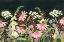Picture of MOONLIT WILDFLOWERS III