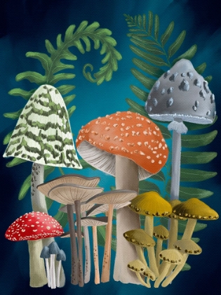 Picture of HARVEST MUSHROOMS I