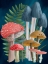 Picture of HARVEST MUSHROOMS II