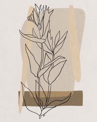 Picture of MODERN BOTANICAL II