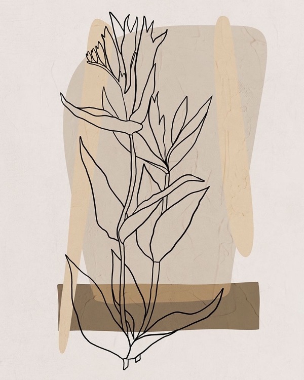 Picture of MODERN BOTANICAL II