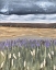 Picture of GATHERING STORM I