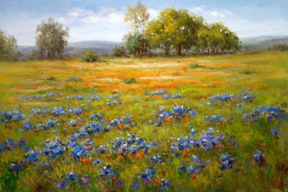 Picture of BLUEBONNETS