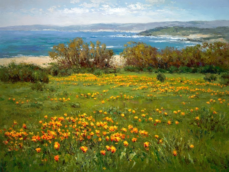 Picture of COASTAL FIELDS