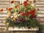 Picture of CAPE COD WINDOW BOX