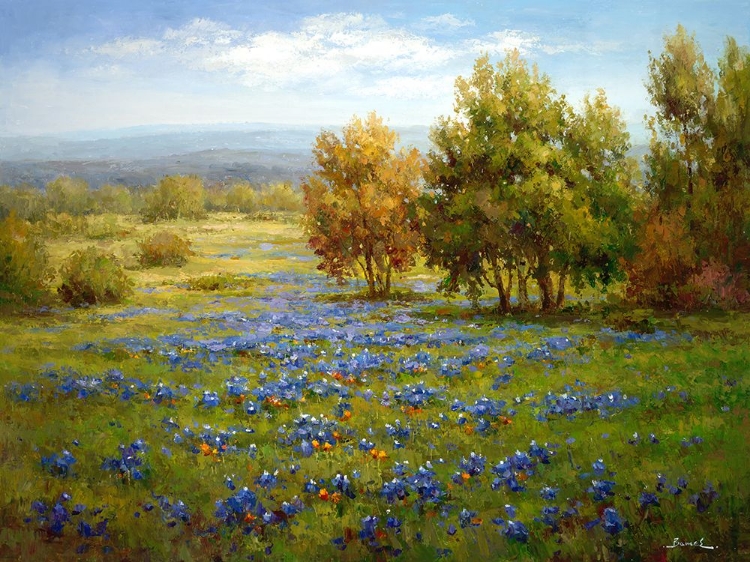 Picture of SPRING BLUEBONNETS