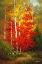 Picture of AUTUMN ABLAZE