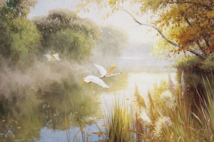 Picture of MORNING FOG