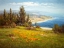 Picture of POPPIES ABOVE THE SEA