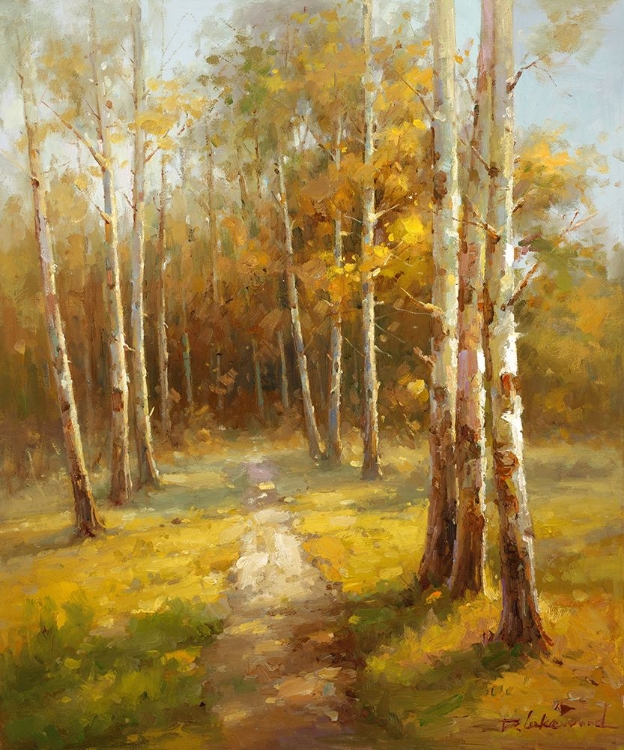 Picture of ASPEN PATH