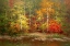 Picture of AUTUMN MEDLEY