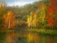 Picture of INDIAN SUMMER