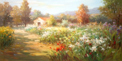 Picture of HOME AND GARDEN
