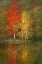 Picture of AUTUMN POND