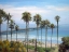 Picture of COASTAL PALMS