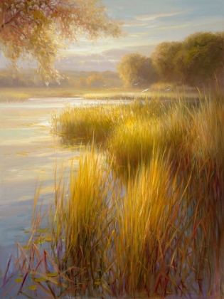 Picture of SUNLIGHT ON THE WATER