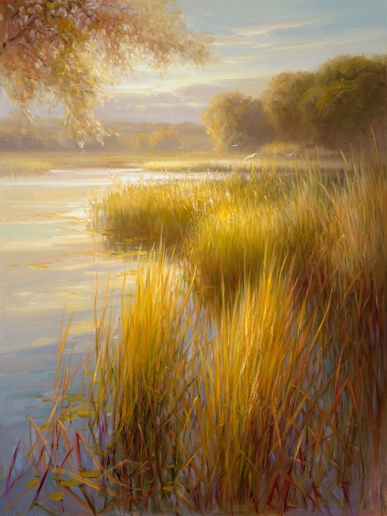 Picture of SUNLIGHT ON THE WATER