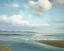 Picture of SEAGULLS AT LOW TIDE