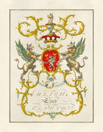 Picture of COAT OF ARMS I