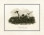 Picture of ANTIQUE POINTER