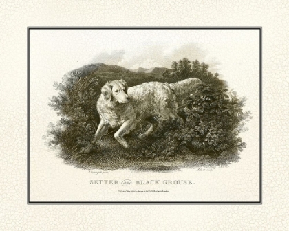 Picture of ANTIQUE SETTER AND BLACK GROUS