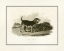 Picture of ANTIQUE BEAGLE