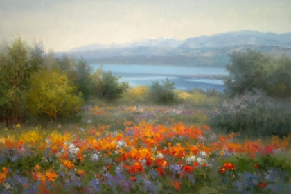 Picture of WILDFLOWERS ON THE COAST