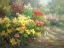 Picture of YELLOW BLOSSOMS