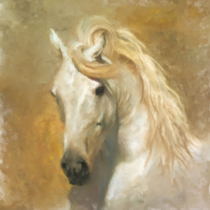 Picture of EQUUS I