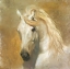 Picture of EQUUS I